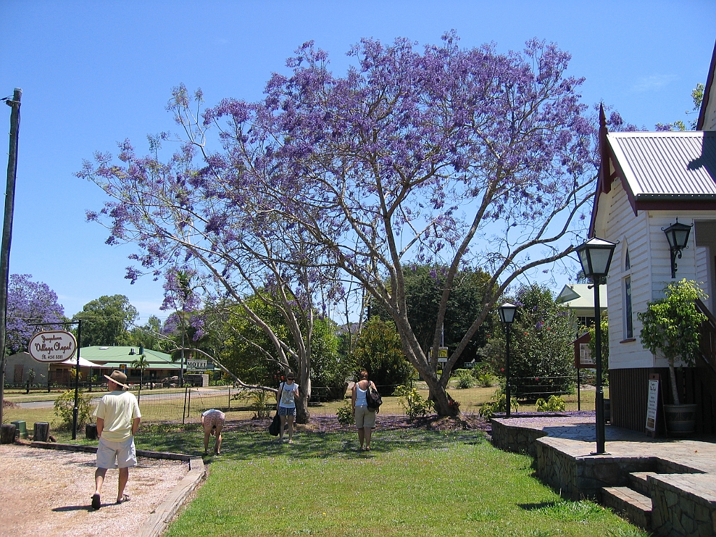 CairnsTC227 Yungaburra.jpg